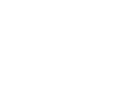 wheelheels-logo