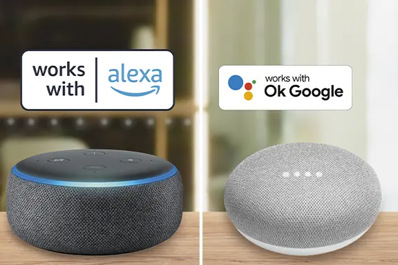 Amazon Alexa and Google Assistant are on the table.